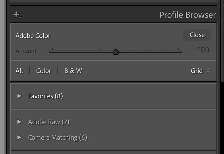 Lightroom Profile Browser showing the three main groups — Adobe Raw, Camera Matching, and Favorites — available for colour raw files